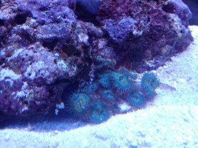 2010-05-31 18.44.11.jpg