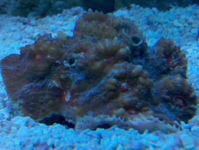 2010-05-25%2017.47.56[2].jpg