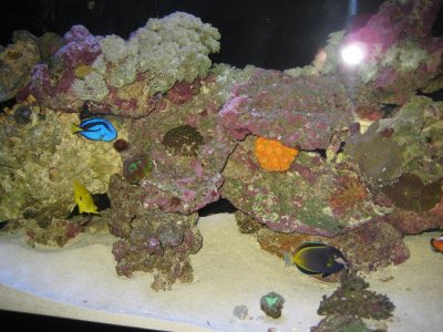 IMG_3405.jpg
