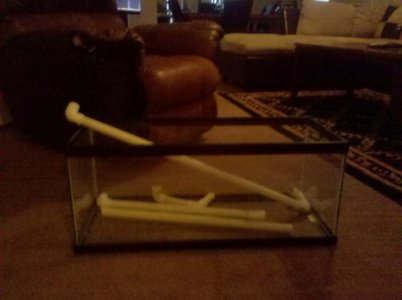 2010-06-09 19.17.16.jpg