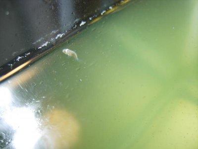 DSCN1537.jpg