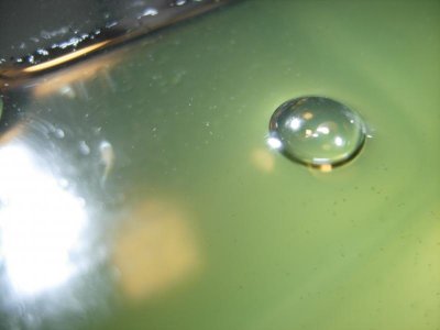 DSCN1538.jpg