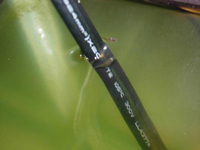 DSCN1536.jpg