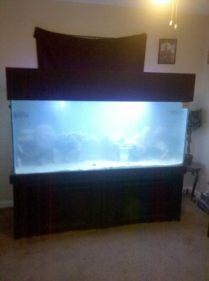 2010-06-10 20.58.05.jpg