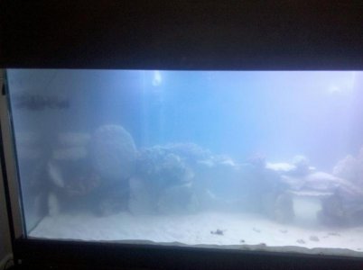 2010-06-10 20.58.18.jpg