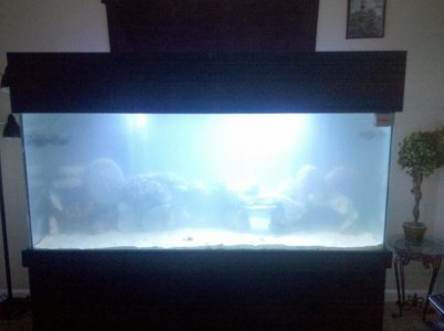 2010-06-10 20.58.33.jpg