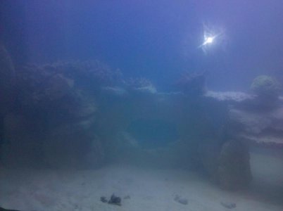 2010-06-10 20.58.49.jpg