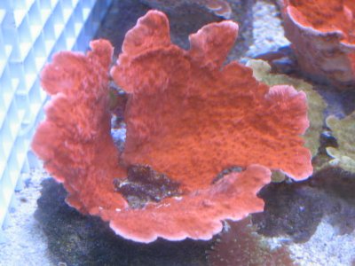 IMG_0119.JPG
