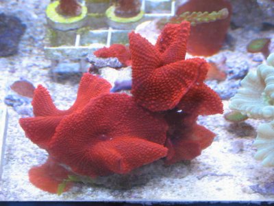 IMG_0122.JPG