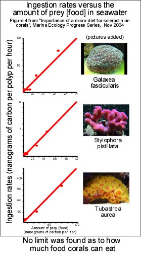 Importance of a micro diet - small.jpg