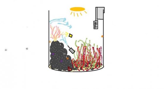 aquarium.jpg