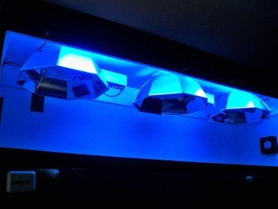 000_0044.jpg