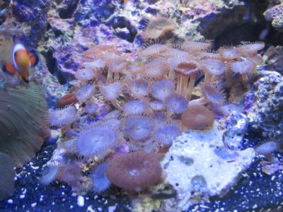 IMG_0353.jpg