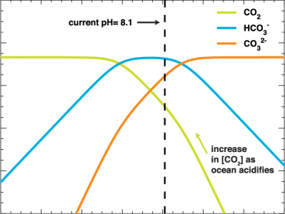 Partitioning-of-dissolved-inorganic-carbon-species-in-seawater-DIC-as-a-function-of-pH.png
