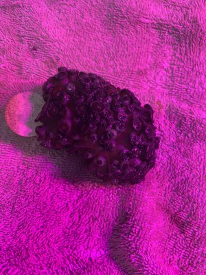 IMG_6162.jpeg