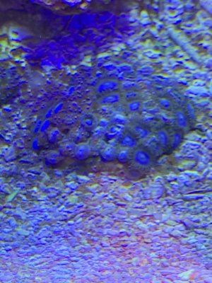 IMG_6164.jpeg
