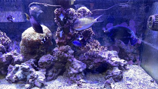 IMG_6109 Large.jpeg