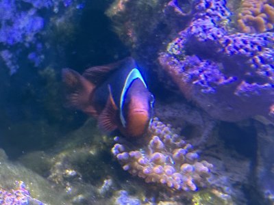 IMG_2602.jpeg