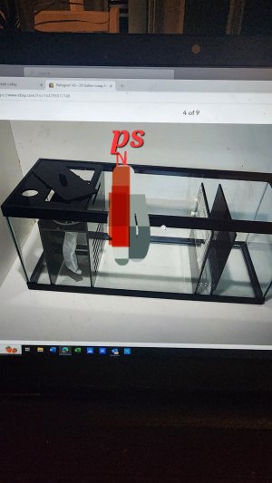 sump.jpg