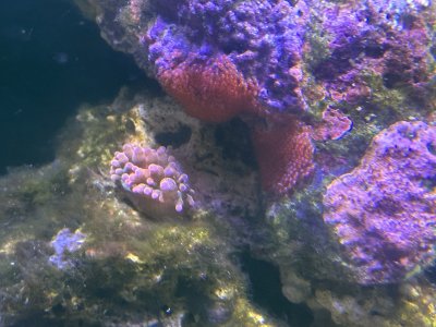 IMG_2653.jpeg