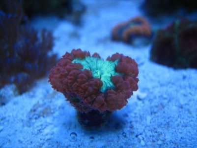 IMG_5117.jpg