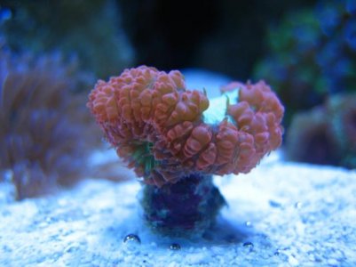 IMG_5120.jpg