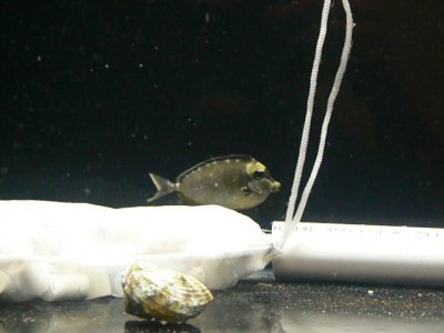 september 2009 041.jpg