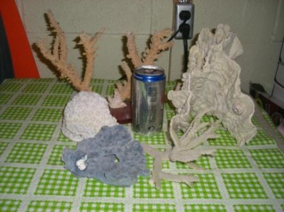 Picture 020.jpg