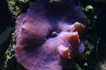 IMG_0669.jpg
