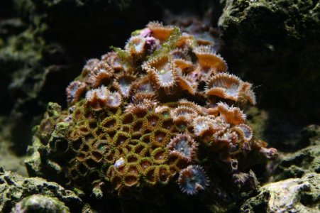 IMG_0657.jpg