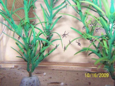 100_8550.jpg