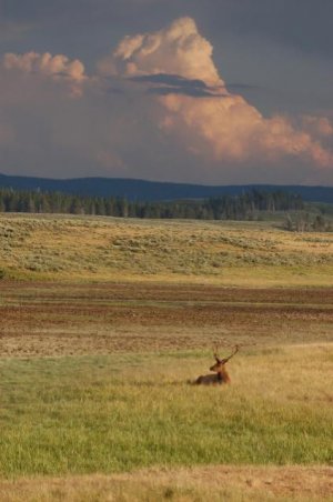 Haden Valley Sunset 2.jpg