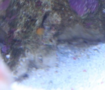 IMG_0125.JPG
