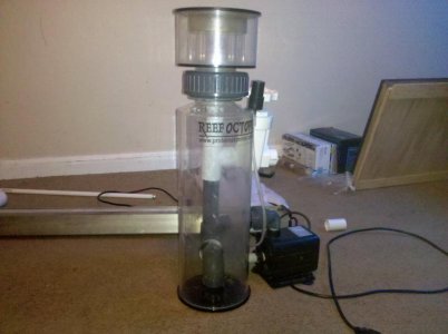 2010-06-13 17.43.20.jpg