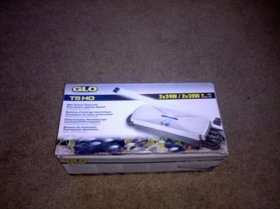 2010-06-13 17.43.54.jpg