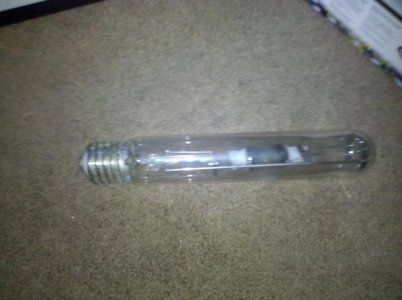 2010-06-13 17.45.02.jpg