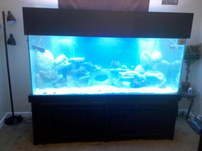 2010-06-13 18.58.42.jpg