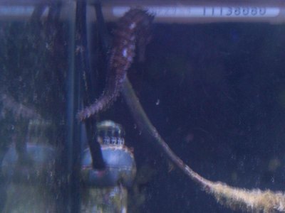 100_2512.jpg