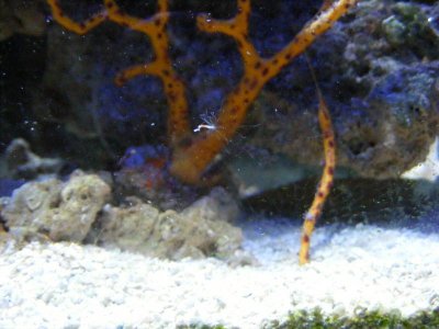 DSCF2043.jpg
