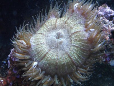 fishtank 022.jpg