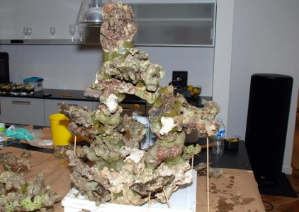 DSC_0107.JPG