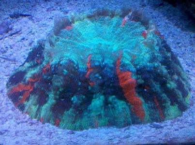 2010-06-16 19.53.16.jpg