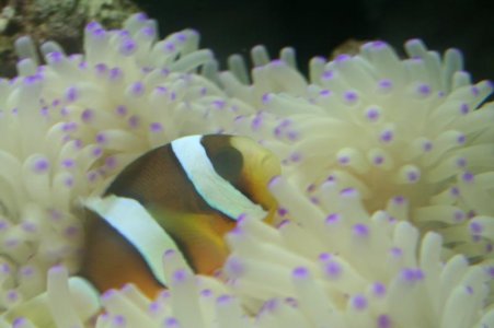 Nem and Clarkki 004.jpg