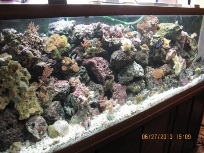 IMG_3261.jpg