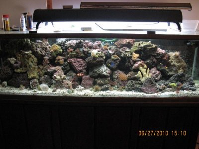 IMG_3262.jpg