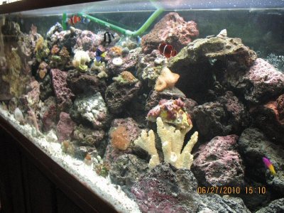 IMG_3263.jpg