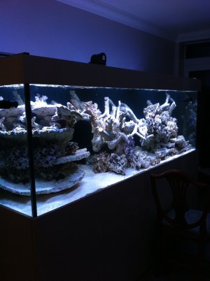 IMG_2085.jpeg