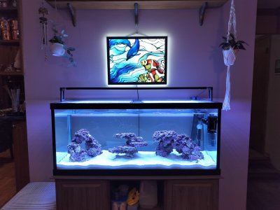 My Aquarium.jpg