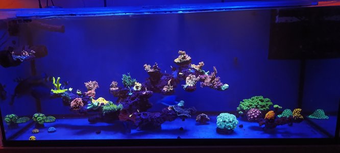 IMG_20250106_223122.jpg