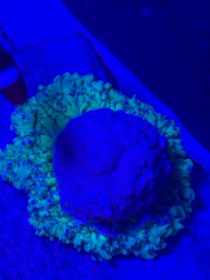 IMG_7054.jpeg